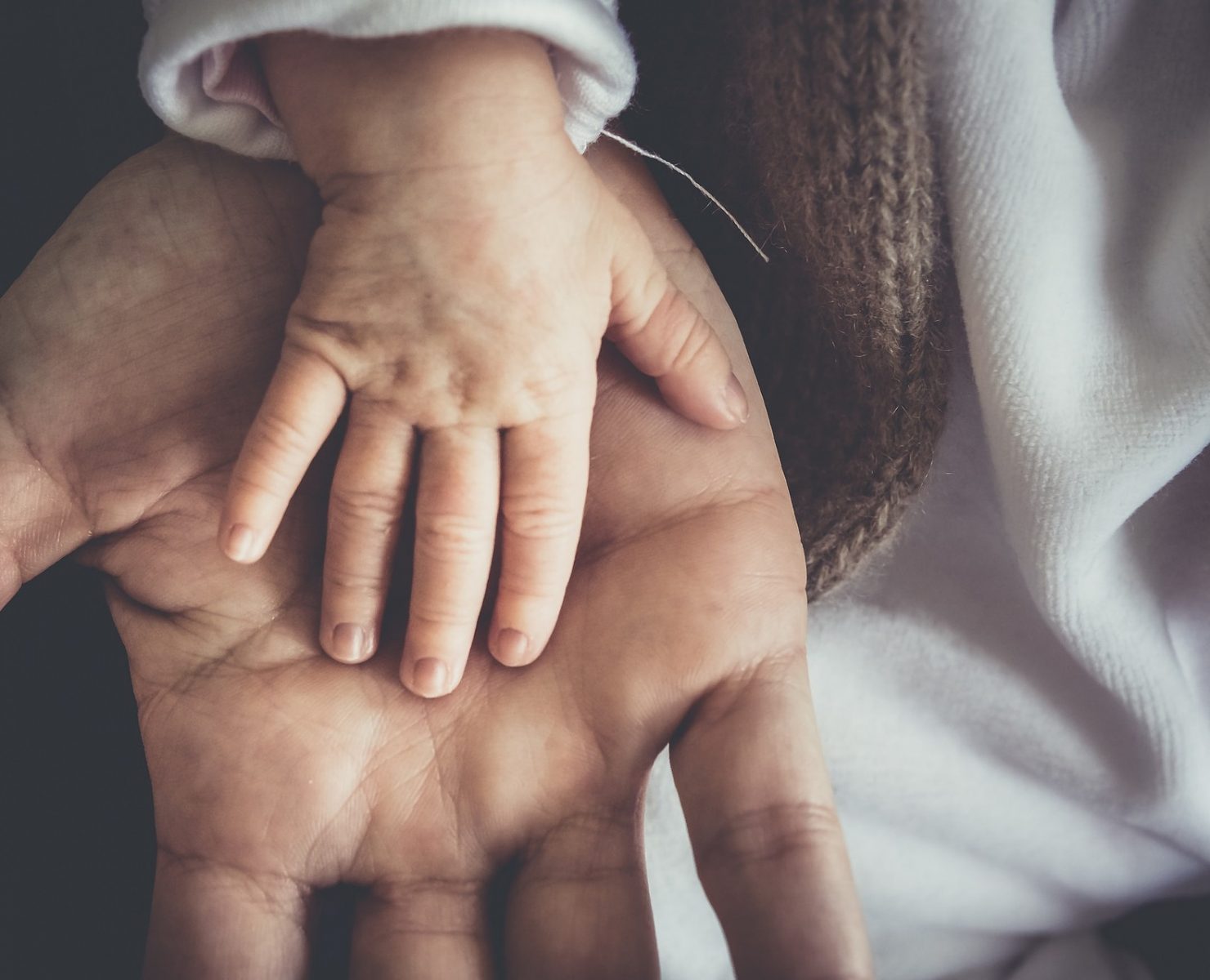 Darowizna nieruchomości – co to jest, akt notarialny, koszty