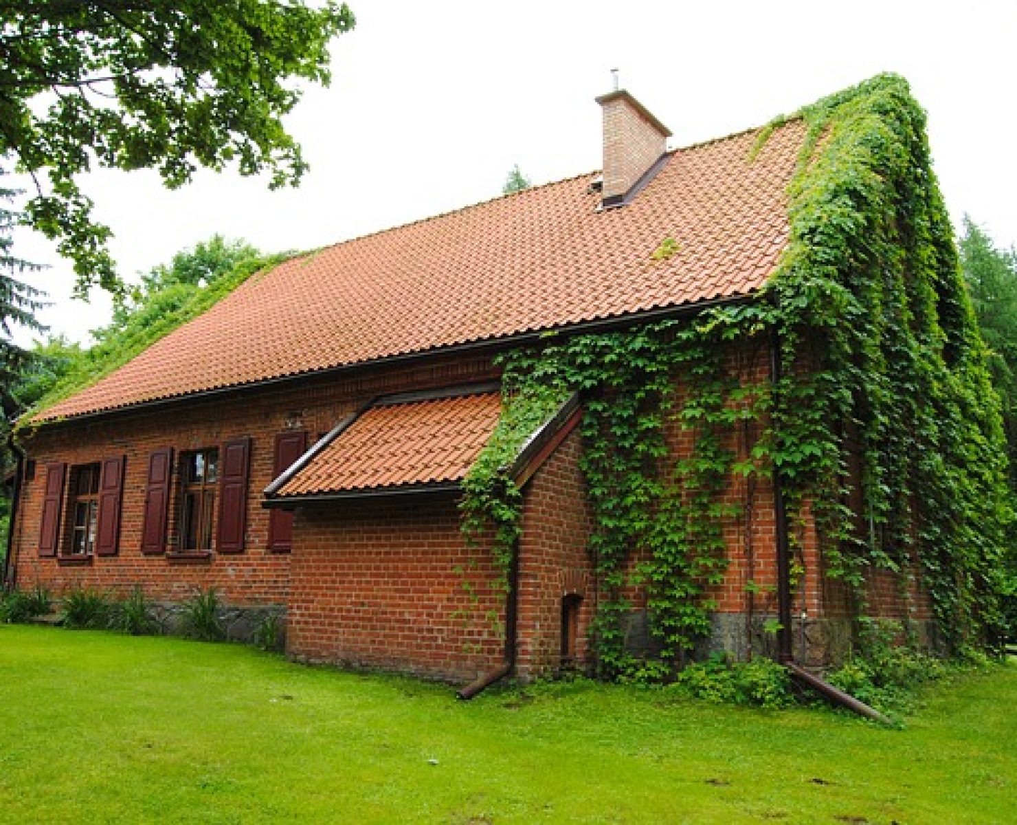 Dom czy mieszkanie. Co jest dla Was lepsze?