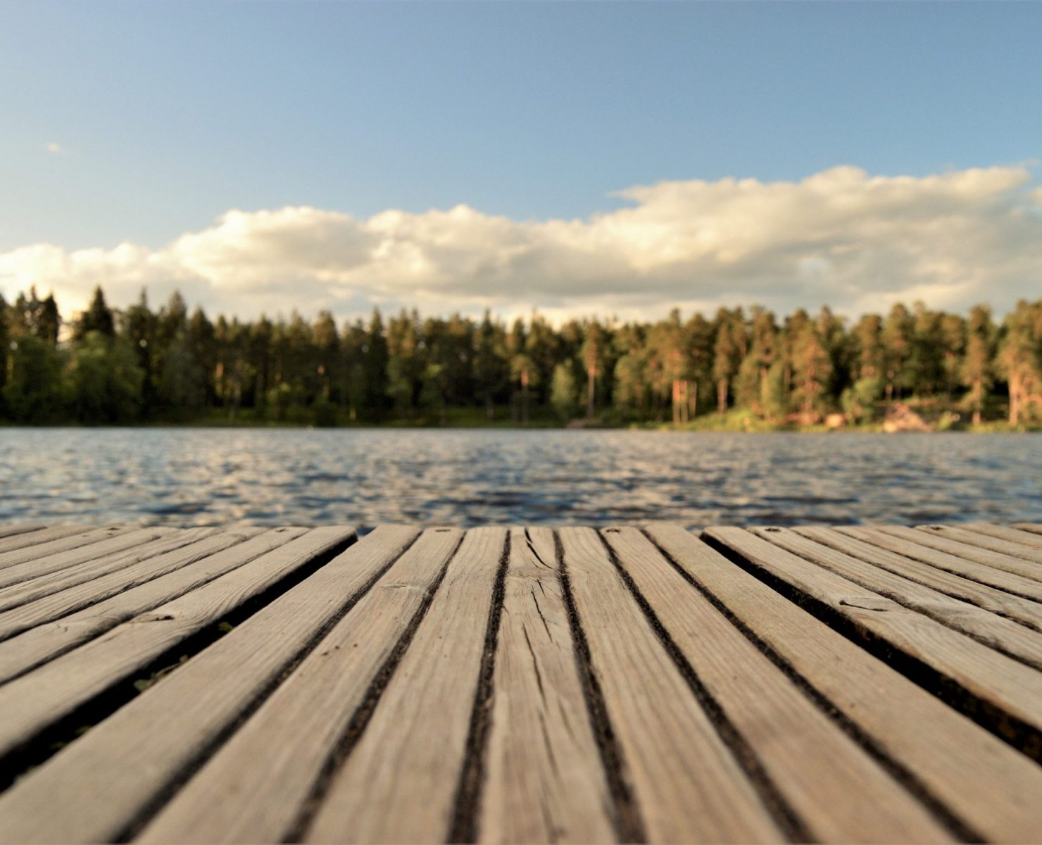 Raport Cenatorium: Działki nad jeziorami