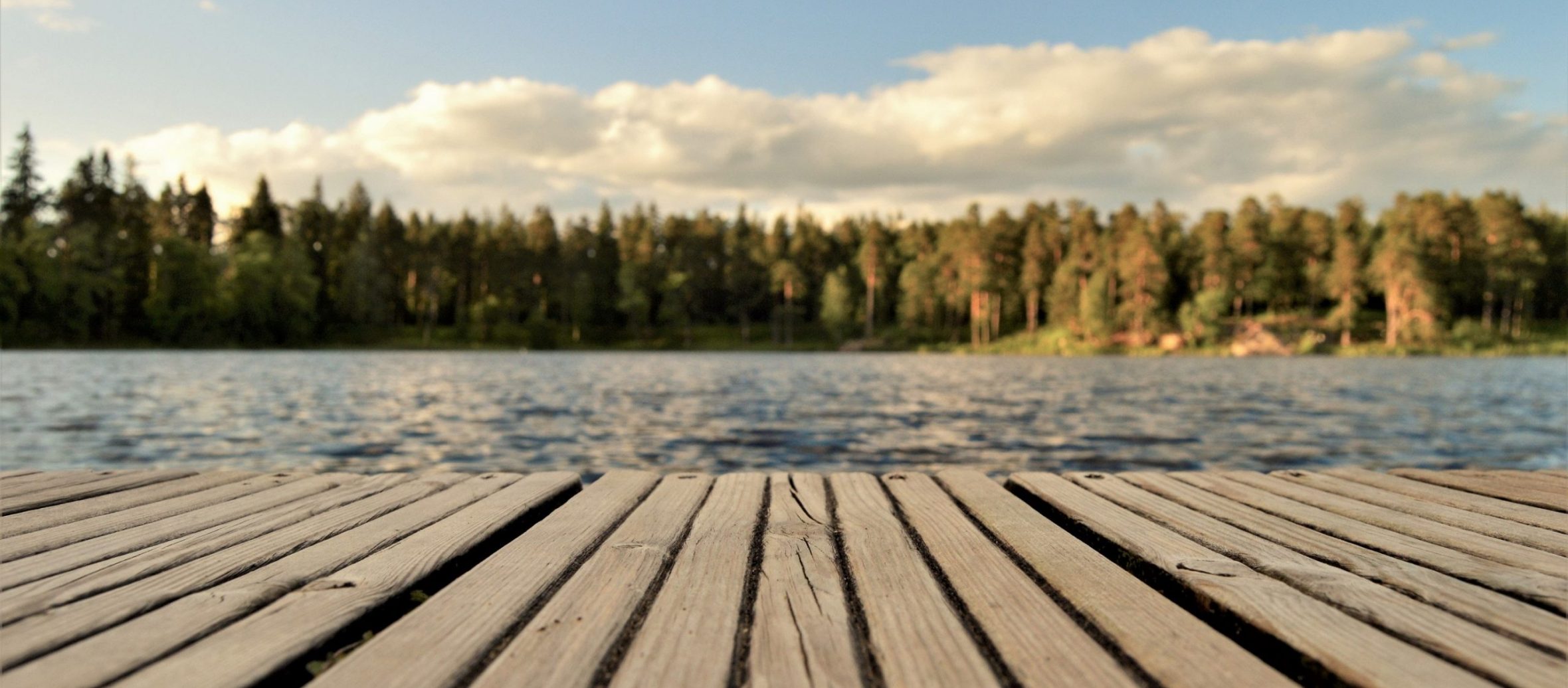 Raport Cenatorium: Działki nad jeziorami