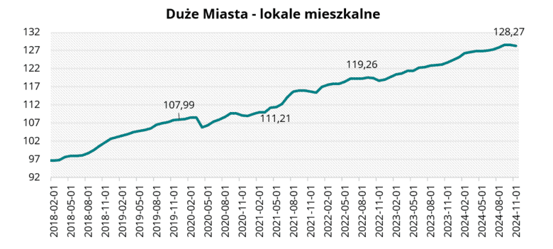 Duże Miasta - lokale mieszkalne w listopadzie 2024 r.